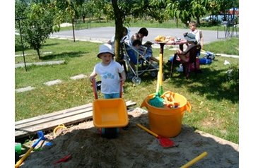 Ungārija Privát Abda, Eksterjers